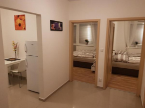 NEWLY BUILT APARTMENT 5 WITH BALCONY NEAR CENTER Brno
